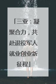 三亚：凝聚合力，共赴退役军人就业创业新征程