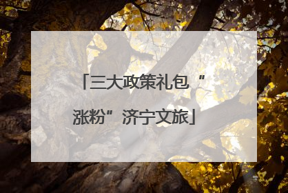 三大政策礼包“涨粉”济宁文旅