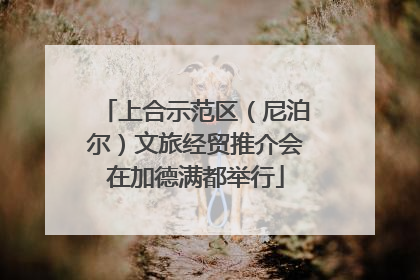 上合示范区（尼泊尔）文旅经贸推介会在加德满都举行