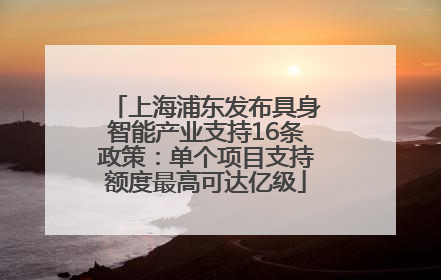 上海浦东发布具身智能产业支持16条政策：单个项目支持额度最高可达亿级