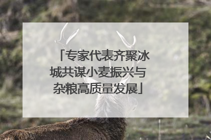 专家代表齐聚冰城共谋小麦振兴与杂粮高质量发展