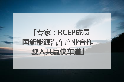 专家：RCEP成员国新能源汽车产业合作驶入共赢快车道
