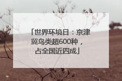 世界环境日：京津冀鸟类超600种，占全国近四成