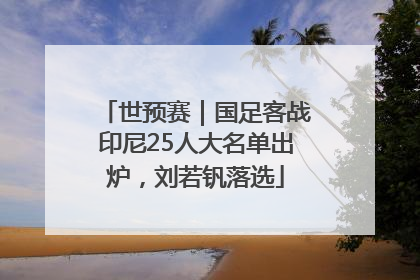 世预赛｜国足客战印尼25人大名单出炉，刘若钒落选