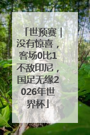 世预赛｜没有惊喜，客场0比1不敌印尼，国足无缘2026年世界杯