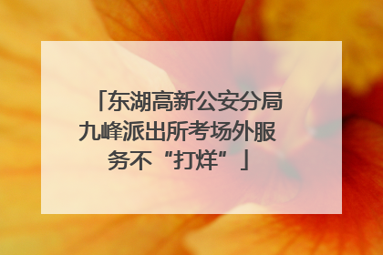 东湖高新公安分局九峰派出所考场外服务不“打烊”