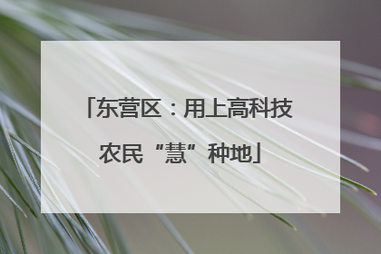 东营区：用上高科技 农民“慧”种地