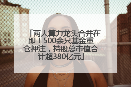 两大算力龙头合并在即！500余只基金重仓押注，持股总市值合计超380亿元