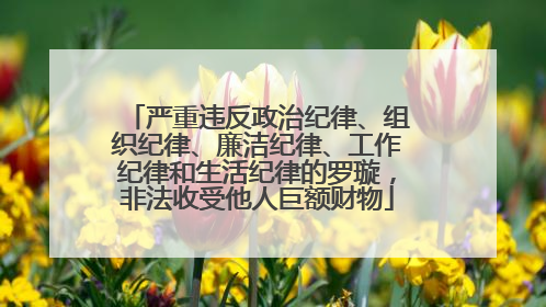 严重违反政治纪律、组织纪律、廉洁纪律、工作纪律和生活纪律的罗璇，非法收受他人巨额财物