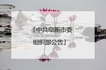 中共阜新市委组织部公告