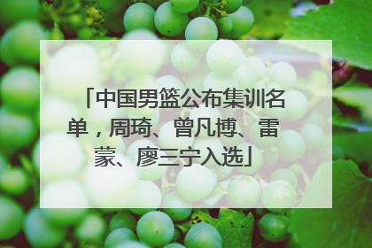 中国男篮公布集训名单，周琦、曾凡博、雷蒙、廖三宁入选