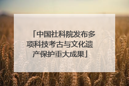 中国社科院发布多项科技考古与文化遗产保护重大成果