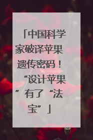 中国科学家破译苹果遗传密码！“设计苹果”有了“法宝”