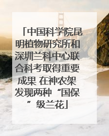 中国科学院昆明植物研究所和深圳兰科中心联合科考取得重要成果 在神农架发现两种“国保”级兰花