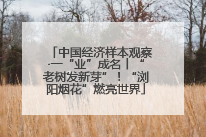 中国经济样本观察·一“业”成名丨“老树发新芽”！“浏阳烟花”燃亮世界