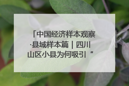 中国经济样本观察·县域样本篇｜四川山区小县为何吸引“村播”扎堆？