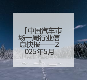 中国汽车市场一周行业信息快报——2025年5月第5期