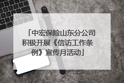 中宏保险山东分公司积极开展《信访工作条例》宣传月活动