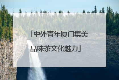 中外青年厦门集美品味茶文化魅力