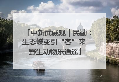 中新武威观｜民勤：生态蝶变引“客”来 野生动物乐逍遥