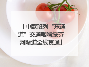 中欧班列“东通道”交通咽喉绥芬河隧道全线贯通