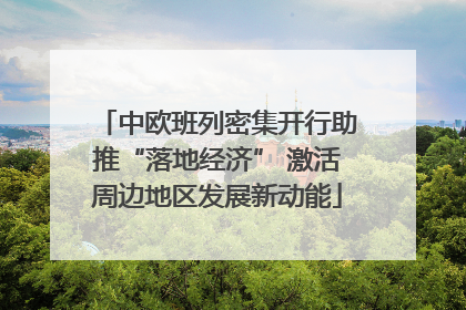 中欧班列密集开行助推“落地经济” 激活周边地区发展新动能