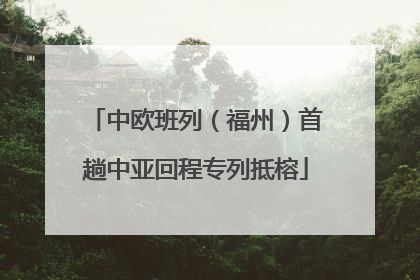 中欧班列（福州）首趟中亚回程专列抵榕