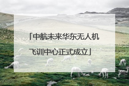 中航未来华东无人机飞训中心正式成立