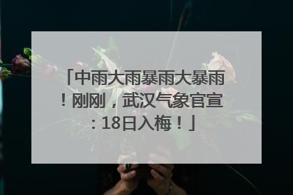 中雨大雨暴雨大暴雨！刚刚，武汉气象官宣：18日入梅！