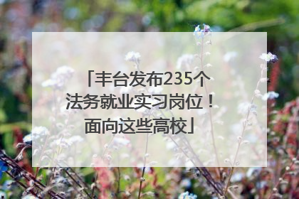 丰台发布235个法务就业实习岗位！面向这些高校