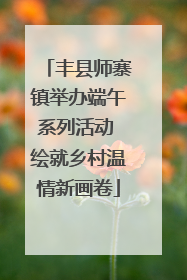 丰县师寨镇举办端午系列活动 绘就乡村温情新画卷