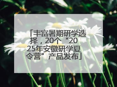 丰富暑期研学选择，20个“2025年安徽研学夏令营”产品发布