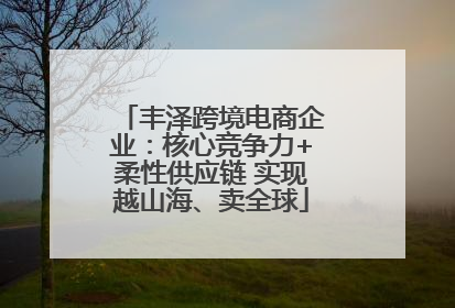 丰泽跨境电商企业：核心竞争力+柔性供应链 实现越山海、卖全球