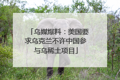 乌媒爆料：美国要求乌克兰不许中国参与乌稀土项目
