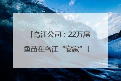 乌江公司：22万尾鱼苗在乌江“安家”