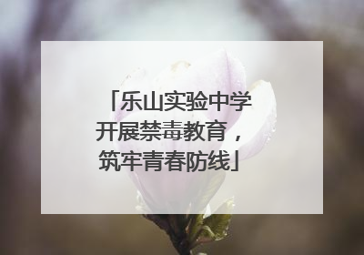 乐山实验中学开展禁毒教育，筑牢青春防线