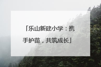 乐山新建小学：携手护苗，共筑成长