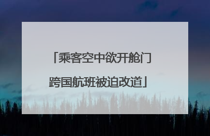 乘客空中欲开舱门 跨国航班被迫改道