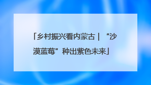 乡村振兴看内蒙古｜“沙漠蓝莓”种出紫色未来