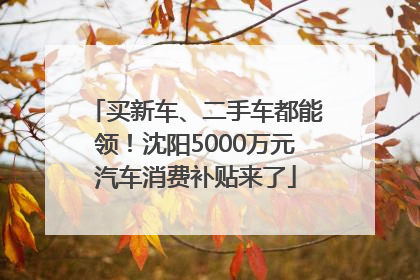 买新车、二手车都能领！沈阳5000万元汽车消费补贴来了