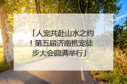人宠共赴山水之约！第五届济南携宠徒步大会圆满举行