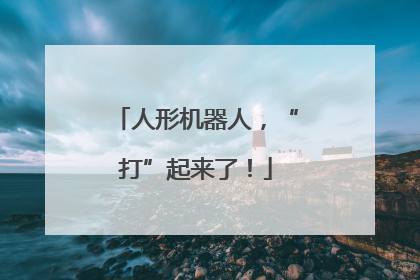 人形机器人，“打”起来了！