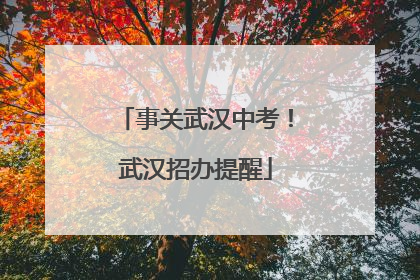 事关武汉中考！武汉招办提醒