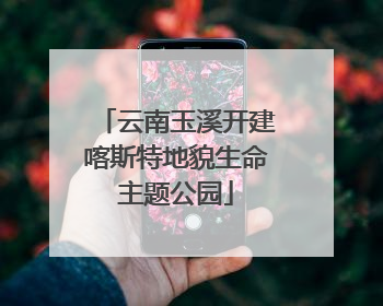 云南玉溪开建喀斯特地貌生命主题公园