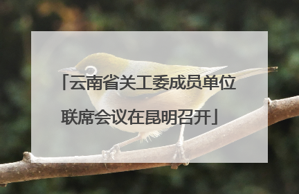 云南省关工委成员单位联席会议在昆明召开