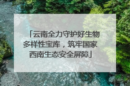 云南全力守护好生物多样性宝库，筑牢国家西南生态安全屏障