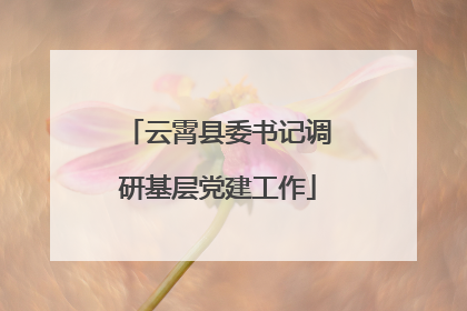 云霄县委书记调研基层党建工作