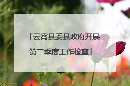 云霄县委县政府开展第二季度工作检查