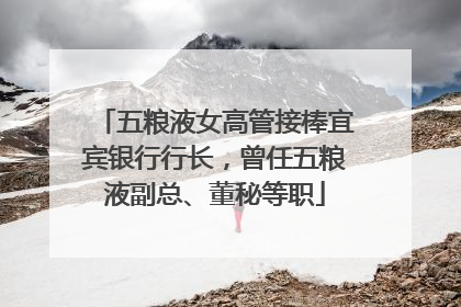 五粮液女高管接棒宜宾银行行长，曾任五粮液副总、董秘等职