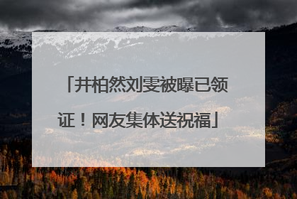 井柏然刘雯被曝已领证！网友集体送祝福